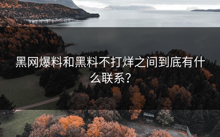 黑网爆料和黑料不打烊之间到底有什么联系？