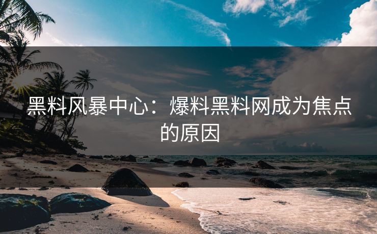 黑料风暴中心：爆料黑料网成为焦点的原因