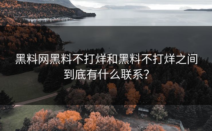 黑料网黑料不打烊和黑料不打烊之间到底有什么联系？