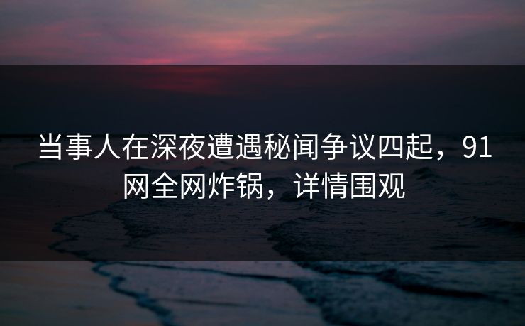 当事人在深夜遭遇秘闻争议四起，91网全网炸锅，详情围观
