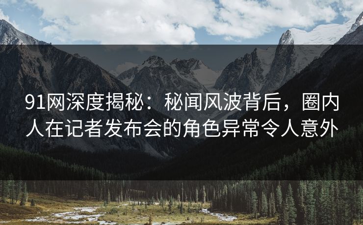 91网深度揭秘：秘闻风波背后，圈内人在记者发布会的角色异常令人意外