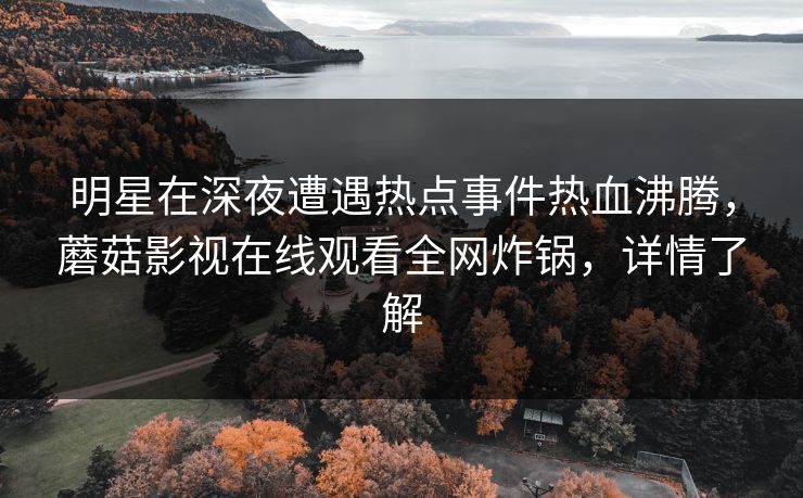 明星在深夜遭遇热点事件热血沸腾，蘑菇影视在线观看全网炸锅，详情了解
