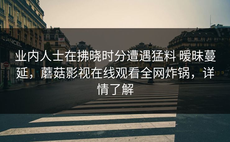 业内人士在拂晓时分遭遇猛料 暧昧蔓延,蘑菇影视在线观看全网炸锅,详情了解