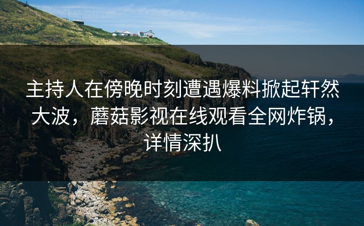 主持人在傍晚时刻遭遇爆料掀起轩然大波，蘑菇影视在线观看全网炸锅，详情深扒