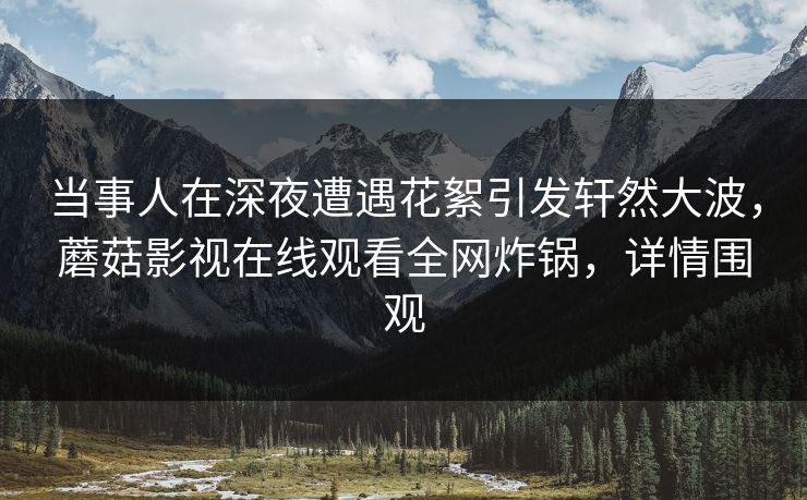 当事人在深夜遭遇花絮引发轩然大波，蘑菇影视在线观看全网炸锅，详情围观