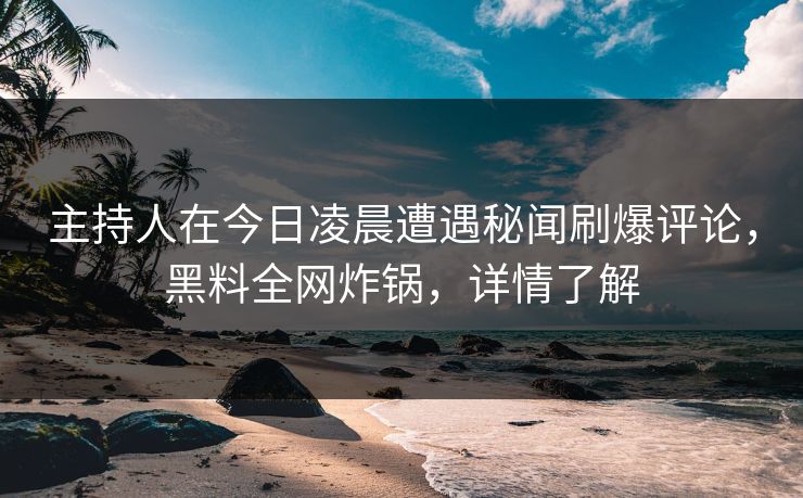 主持人在今日凌晨遭遇秘闻刷爆评论，黑料全网炸锅，详情了解