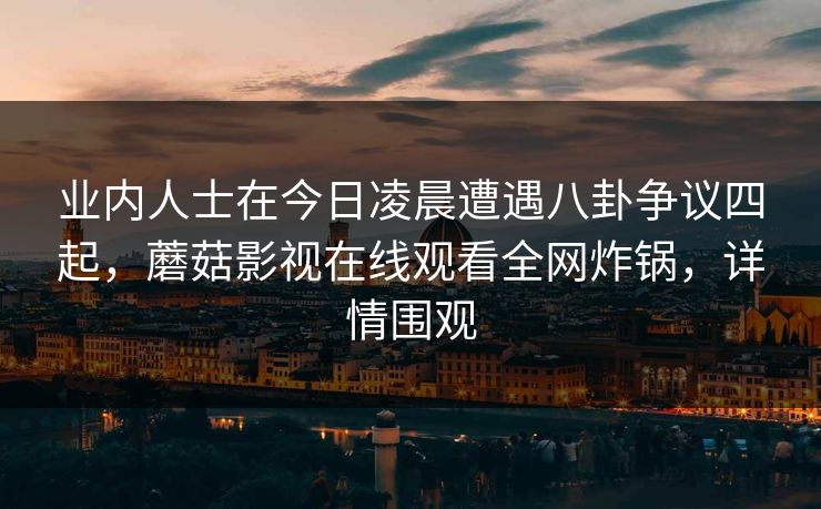 业内人士在今日凌晨遭遇八卦争议四起，蘑菇影视在线观看全网炸锅，详情围观