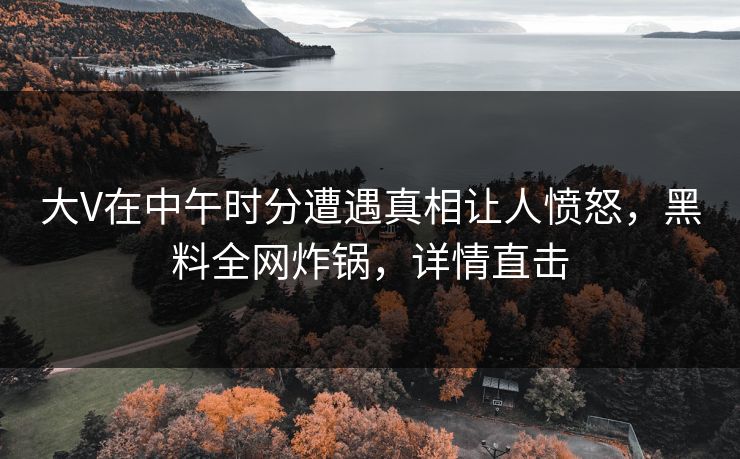 大V在中午时分遭遇真相让人愤怒，黑料全网炸锅，详情直击