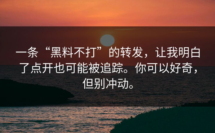 一条“黑料不打”的转发，让我明白了点开也可能被追踪。你可以好奇，但别冲动。